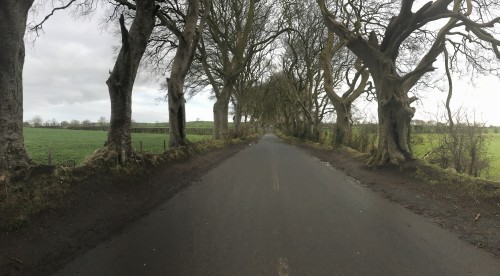 The Dark Hedges - Northern Ireland